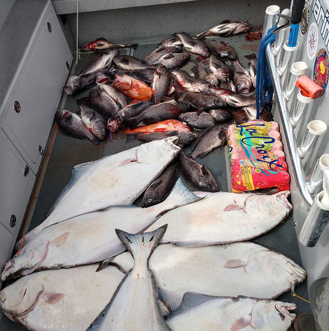 Read more: What To Bring on Your Charter Fishing Trip